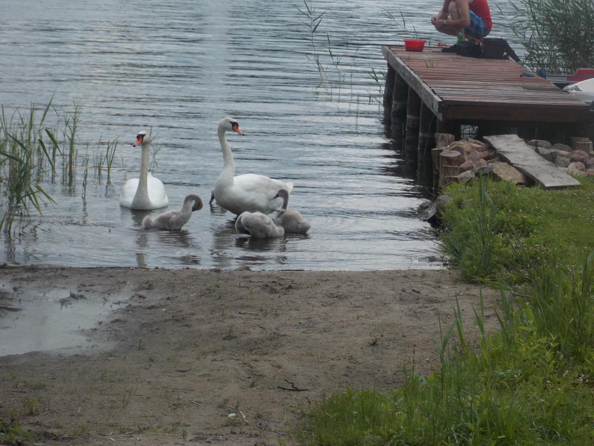 Mazury Home Giżycko Exteriér fotografie
