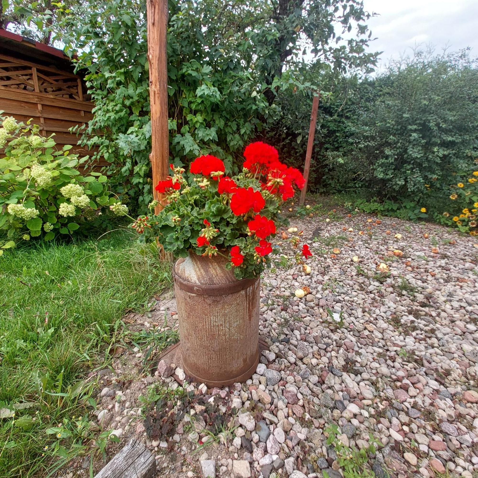 Mazury Home Giżycko Exteriér fotografie